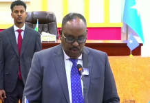 Siciid Deni “Maraykanka & Imaaraatka ayaa nagu gacansiiyay howlgallada ka dhanka ah Daacish”