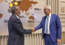 Maxay wadaagi karaan Dekedaha Soomaaliya iyo Jabuuti?